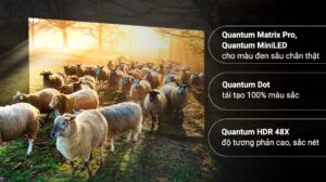 smart-neo-qled-8k-65-inch-samsung-qa65qn900b637873551740713948_d32e96c8d746439490122e272fbff9b0.jpg