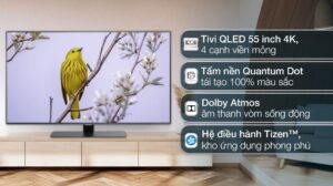 smart-qled-4k-55-inch-samsung-qa55q80b637895928724784300_eeea36b01c9c4406ab7cc8ea4bfbf6e1.jpg