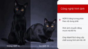 tcl-55p615637816377160677274_664a976f0dc94d67b6eb1e3998489aeb.gif